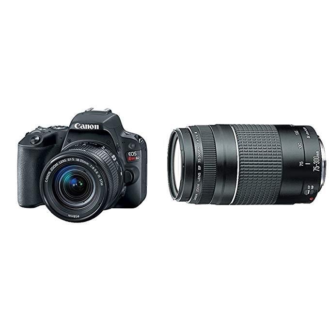 Canon EOS Rebel SL2 DSLR Camera with EF-S 18-55mm STM Lens + Canon EF 75-300mm f/4-5.6 III Telephoto Zoom Lens