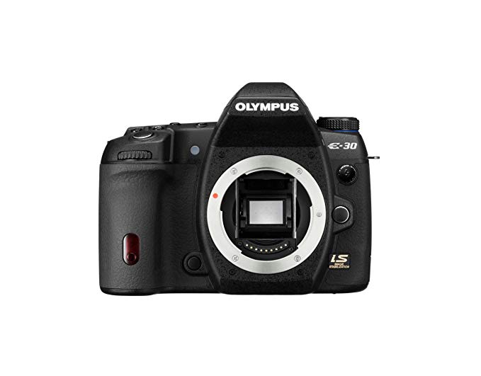 Olympus E30 12.3MP Digital SLR with Image Stabilization (Body Only)